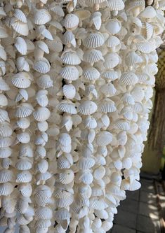 many white shells are hanging from the ceiling