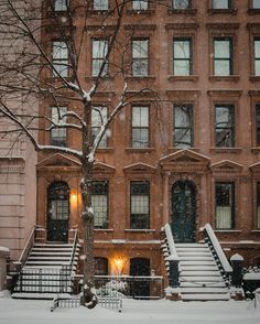 a snow covered tree in front of a building with steps leading up to the door