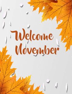 the words welcome november are surrounded by falling autumn leaves on a white background with drops of rain