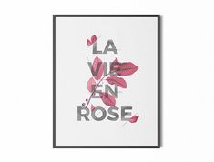 a framed poster with the words la vie en rose in pink and grey on it