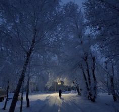 a person walking down a snow covered road at night in the woods with lights on