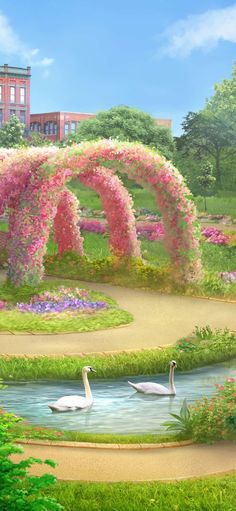 two swans swimming in a pond surrounded by pink flowers and greenery with buildings in the background