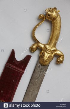 Spear Design, Powis Castle, Tipu Sultan, Contemporary History, Indian History Facts, Pretty Knives, Colonial History, Islamic Cartoon, Saved Pins