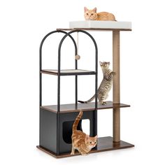 two cats are playing with each other on a cat tree that is made out of wood and metal