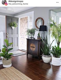 a living room filled with lots of potted plants on top of a hard wood floor