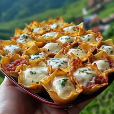 a hand holding a red bowl filled with ravioli and sauces on top of it