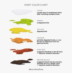 the different colors of paint are shown in this chart, which shows how to use them