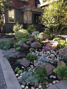 a garden with rocks and succulents in front of a house