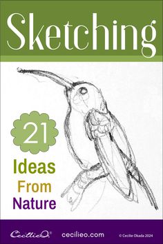 a book cover with a drawing of a bird and the words sketching 21 ideas from nature