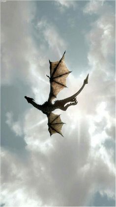 a book with an image of a dragon flying in the sky