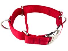 a red dog collar with metal buckles