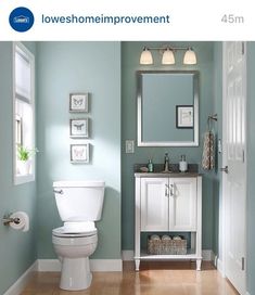 a white toilet sitting in a bathroom next to a sink under a mirror on top of a wooden floor