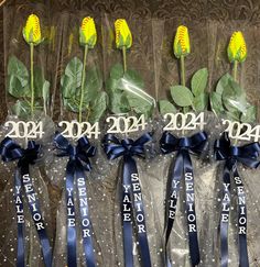 four flowers are in plastic bags with ribbons around them that read, 2012 and 2013