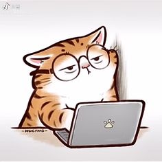 a cat wearing glasses sitting in front of a laptop