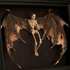 a skeleton is sitting in a shadow box with wings on it's back legs