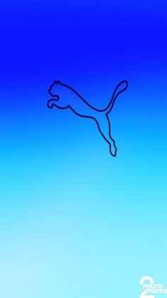 the outline of a running cat on a blue background is shown in this image, it appears to be an illustration