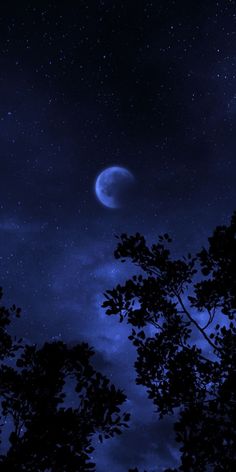 736x1593 Wallpaper Hd, Blue Colour Wallpaper Iphone, Deep Blue Wallpaper Aesthetic, Blue Moonlight Aesthetic, Blue Witchy Aesthetic, Crescent Moon Wallpaper Aesthetic, Dark Blue Moon Wallpaper, Blue Night Sky Aesthetic, Neon Moon Wallpaper