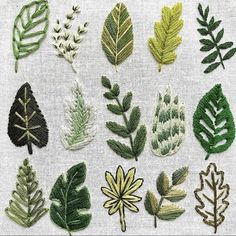 various types of leaves are shown on a piece of white fabric with green and yellow trim