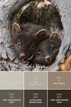 two baby black bears peeking out from behind a hollow in a tree color swatches