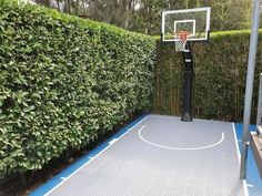 Basketball Court Ideas Backyard, Small Home Basketball Court, Small Sport Court, Diy Basketball Court Backyard Cheap, Outdoor Basketball Court Ideas, Backyard Workout Area