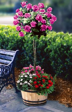 a wooden bench sitting next to a potted plant