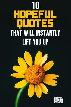 a yellow flower with the words 10 hopeful quotes that will instantly lift you up