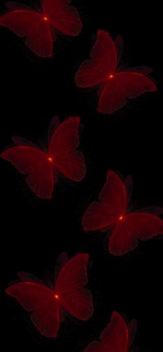 red butterflies flying in the dark with their wings spread out to look like they are glowing