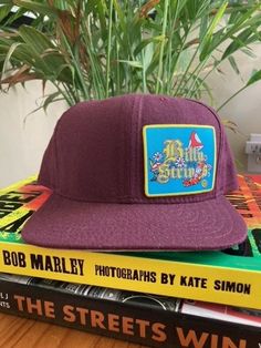 a purple hat sitting on top of two books next to a green potted plant