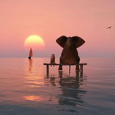 an elephant sitting on a bench in the middle of water with a sailboat in the background