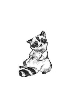 a black and white drawing of a raccoon sitting on its hind legs looking up