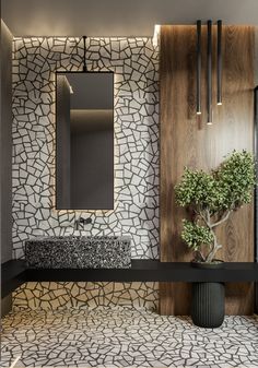 the bathroom is decorated in black and white tiles, with a potted plant on the counter