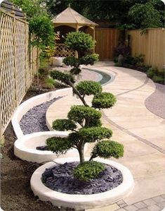 a small bonsai tree is in the middle of a circular garden area with rocks and gravel