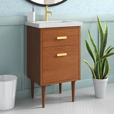 a bathroom vanity with a mirror above it next to a potted plant