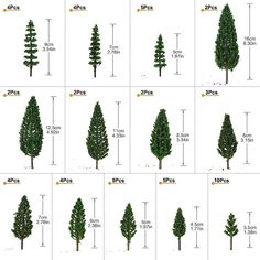 the different types of trees are shown in this diagram, and each tree has its own height