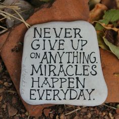 a rock that says never give up on anything