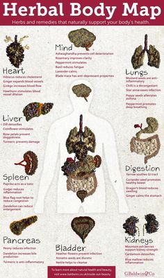 Body Map, Herbal Magic, Herbs And Spices, Natural Health Remedies