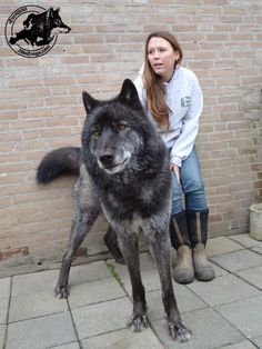 a woman sitting next to a large black dog on top of a cement ground with the caption wiccak mezzanice wilka iwk i psa