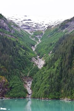 a river surrounded by green mountains and trees