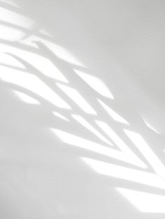 a black and white photo of a vase with flowers in it on a table next to a wall