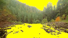 a river surrounded by trees and rocks in the middle of a forest with yellow sky