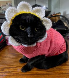 a black cat wearing a pink sweater with white flowers on it's head