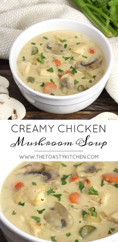 creamy chicken mushroom soup with carrots, celery and parsley