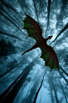 a large red dragon flying through a forest filled with tall trees