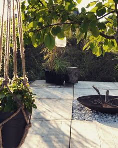 an outdoor area with plants, rocks and a hanging potted planter in the center