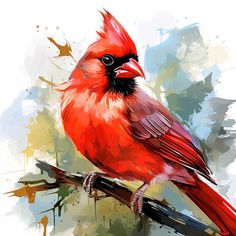 Cardinal Clipart in Impressionistic Art Style: 4K & Vector Painting A Cardinal, Paintings Of Cardinals, Vintage Cardinal Images, Cardinals Painting Acrylic, Cardinal Paintings, Cardinal Canvas Painting, Cardinal Clipart, Abstract Cardinal Painting, Paintings Of Cardinals In Winter