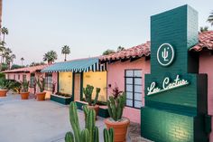 the outside of a restaurant with cacti in pots