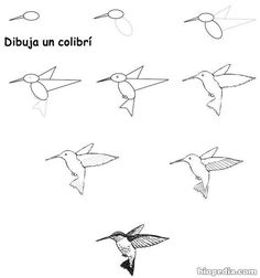 some birds are flying in the sky with their wings spread out and one bird is upside down