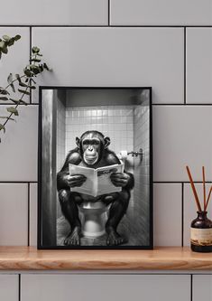 a black and white photo of a monkey sitting on a toilet reading a book in a bathroom