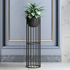 a tall metal plant stand with a potted plant in it on the floor next to a blue wall