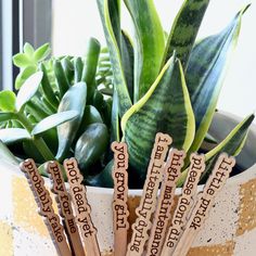 some wooden sticks with words on them in a pot